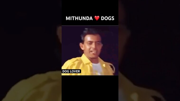 funnyshorts