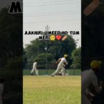 cricket