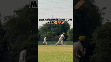 cricket
