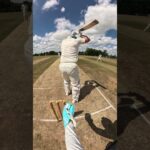 cricket